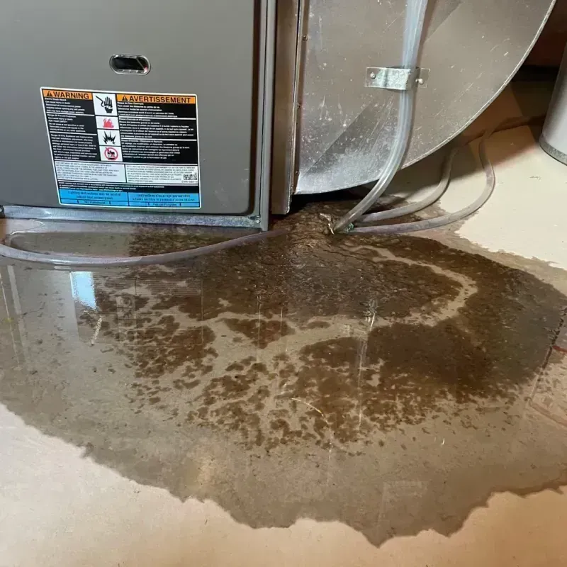 Appliance Leak Cleanup in North Myrtle Beach, SC